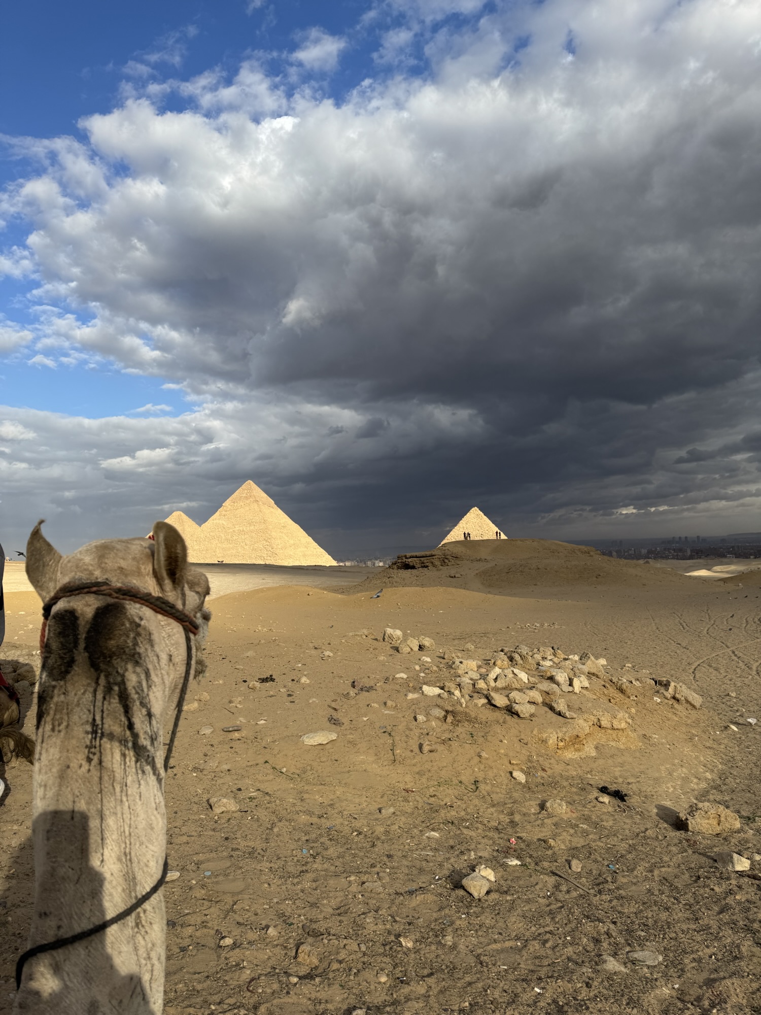 Cairo in 48 Hours: A Journey Through History and Heritage